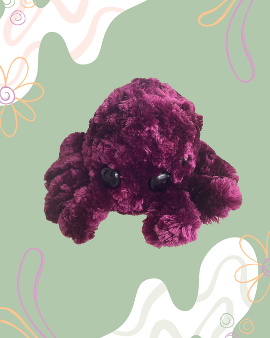 Fluffy Spider