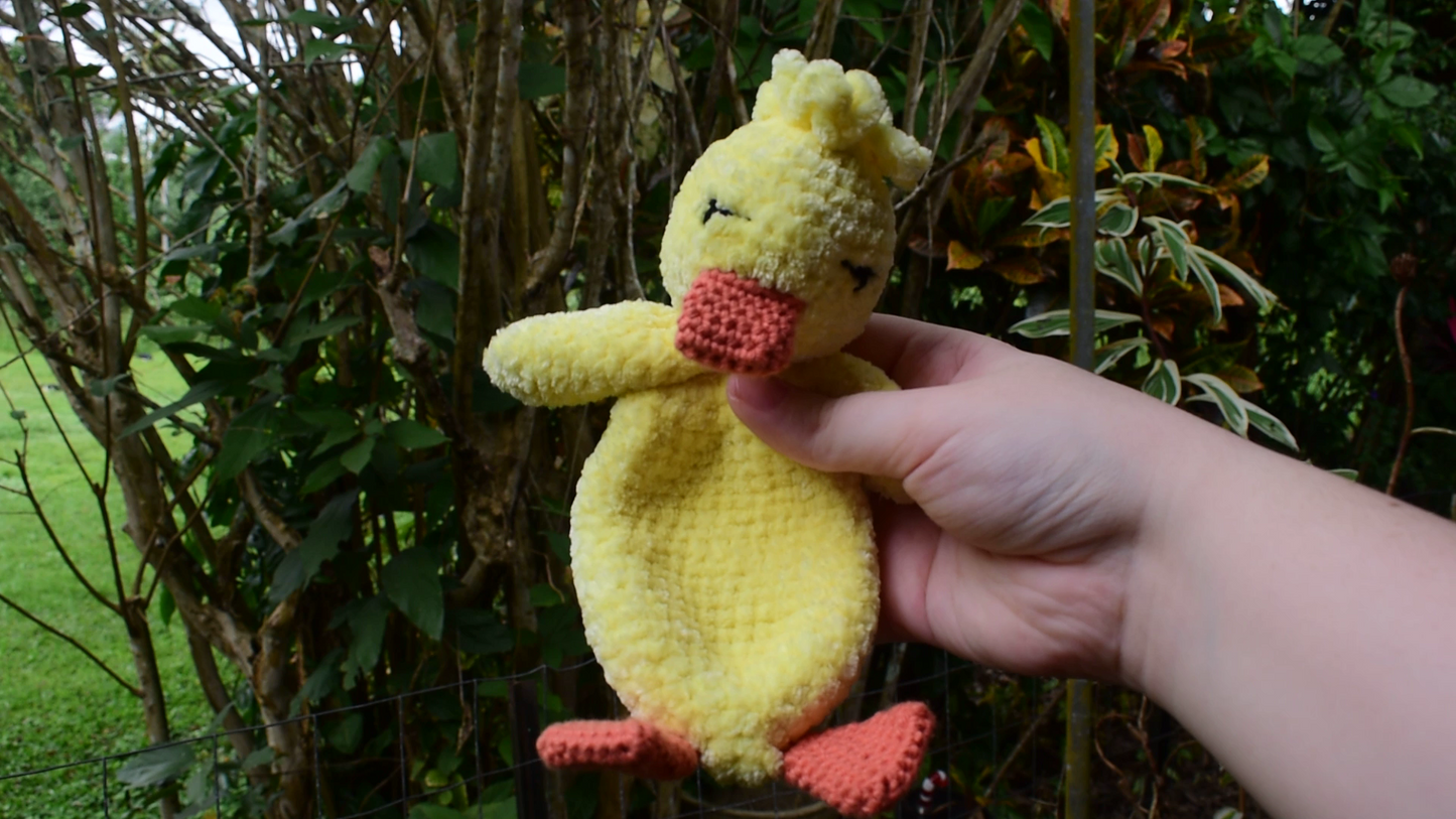 Duck Sleeper