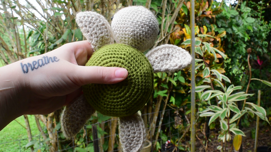 Turtle